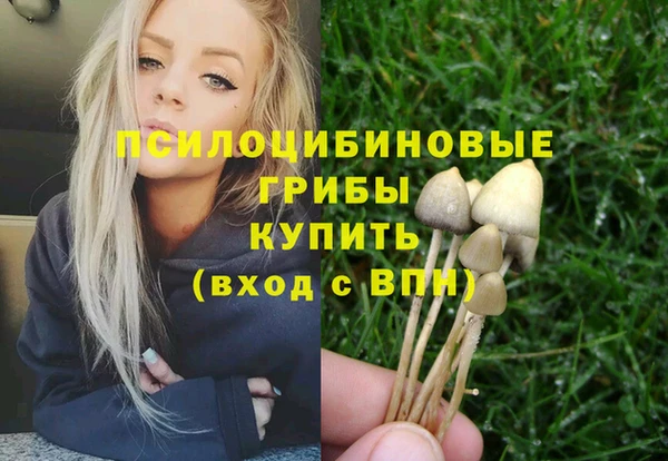 spice Алексеевка