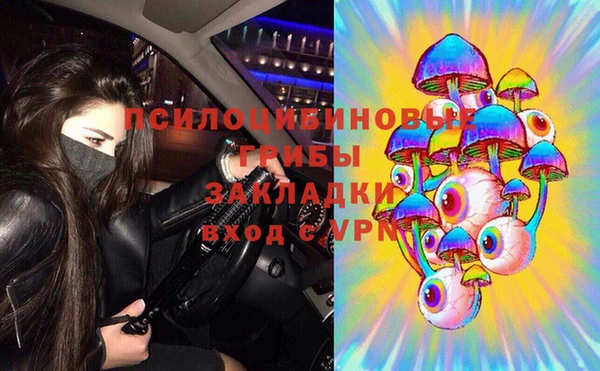spice Алексеевка