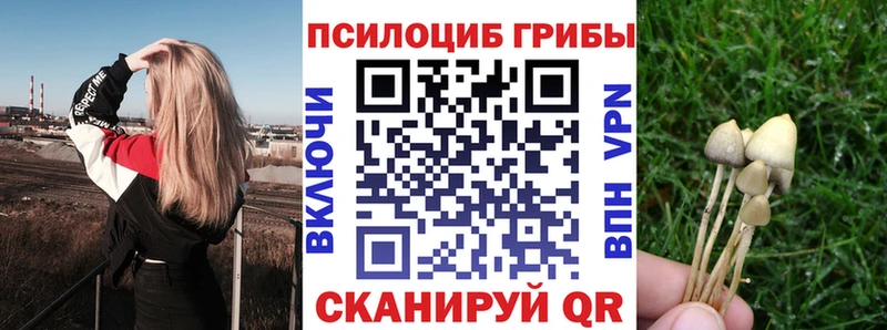 Купить где  Пестово  Галлюциногенные грибы MAGIC MUSHROOMS 