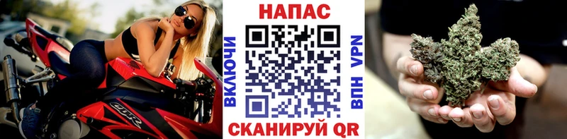 Бошки марихуана OG Kush  Купить где  Пестово 